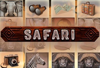 Safari